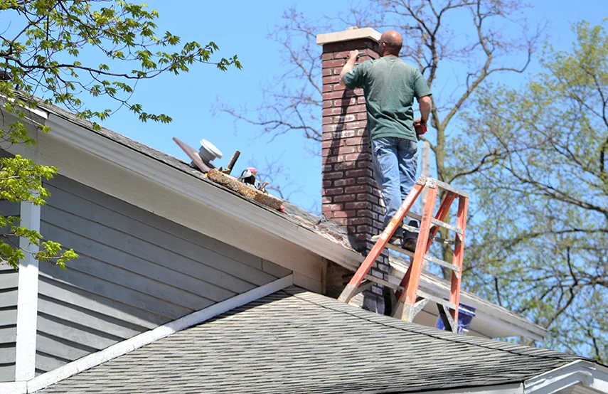 Chimney & Fireplace Inspections Services in Carlisle, PA
